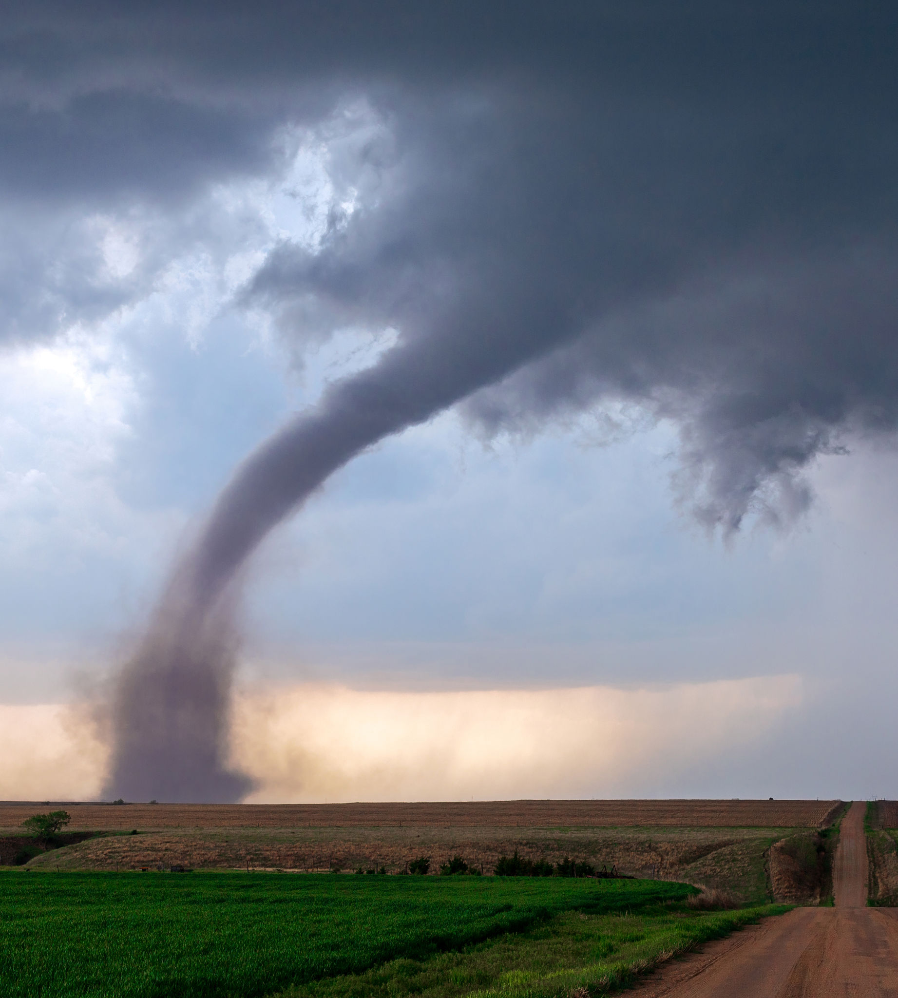 Windstorm Protection | McKinney